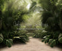 Tropical Forest (JA)