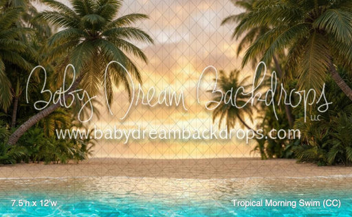 Tropical Morning Swim (CC)