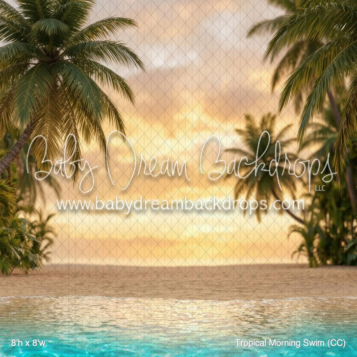 Tropical Morning Swim (CC)