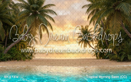 Tropical Morning Swim (CC)