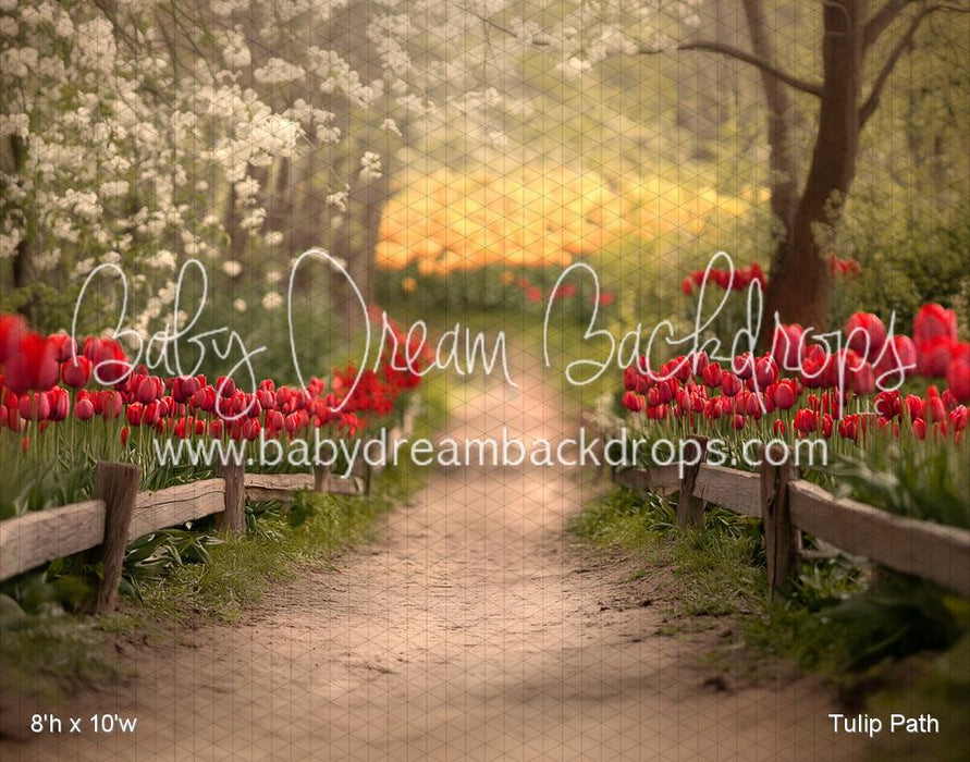 Tulip Path (VR)