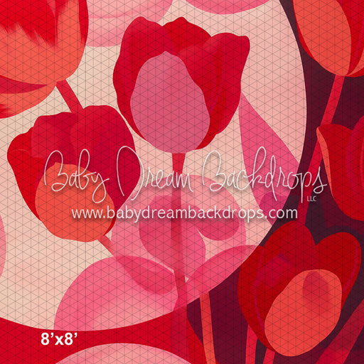 Tulips (HL)
