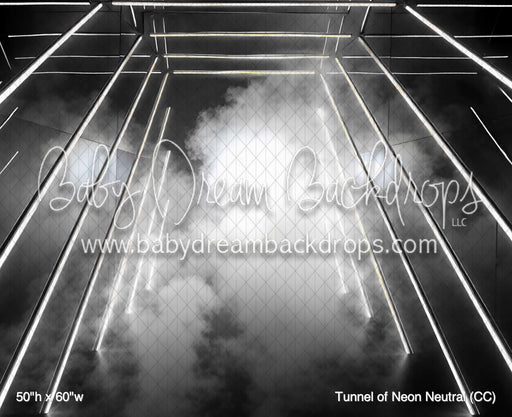 Tunnel of Neon Neutral (CC)