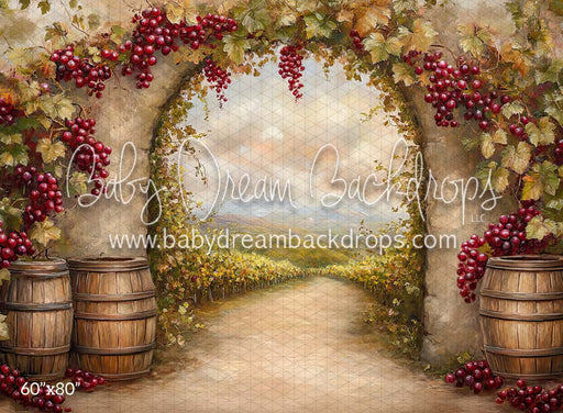 Tuscan Vineyard (CM)