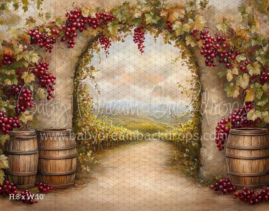 Tuscan Vineyard (CM)