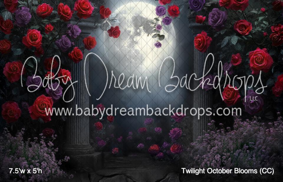 Twilight October Blooms (CC)