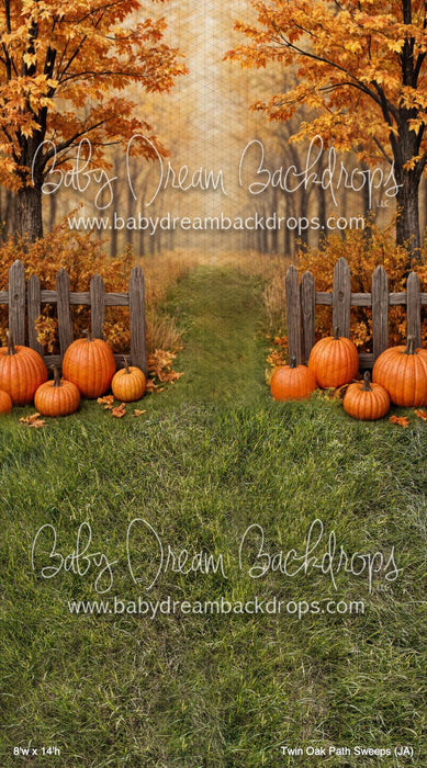 Twin Oak Path Sweeps (JA)