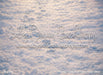 Twinkle Twist Trail Fabric Floor (MD)