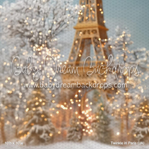 Twinkle in Paris (JA)