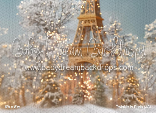 Twinkle in Paris (JA)