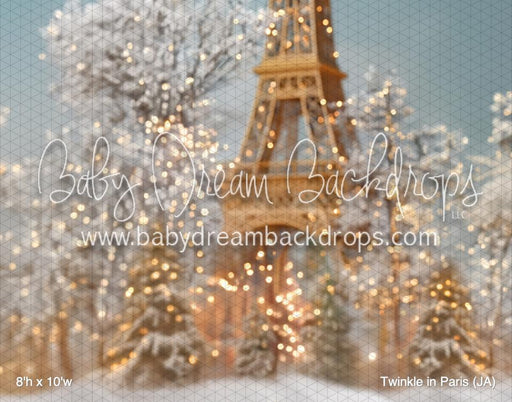 Twinkle in Paris (JA)