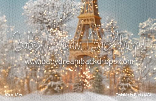 Twinkle in Paris (JA)