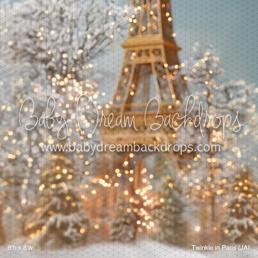 Twinkle in Paris (JA)