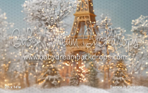 Twinkle in Paris (JA)