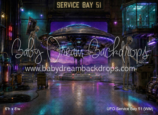 UFO Service Bay 51 (WM)