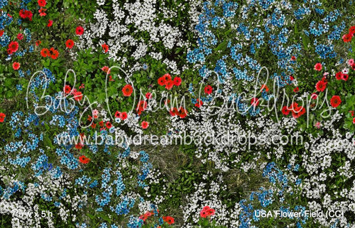 USA Flower Field (CC)