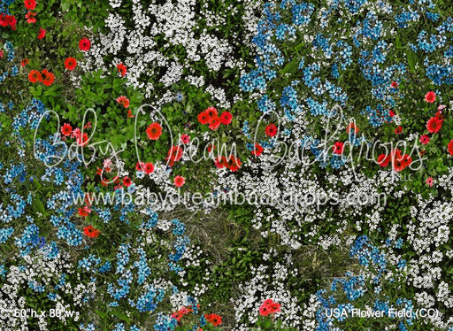 USA Flower Field (CC)