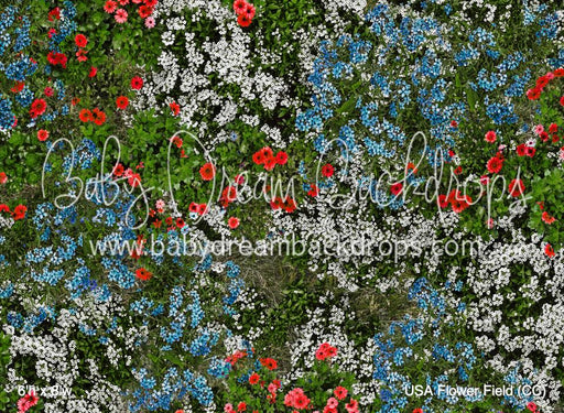 USA Flower Field (CC)