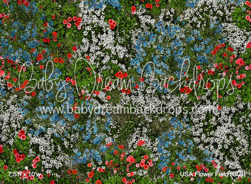 USA Flower Field (CC)