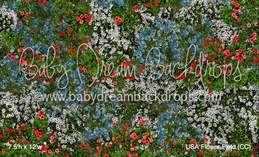 USA Flower Field (CC)