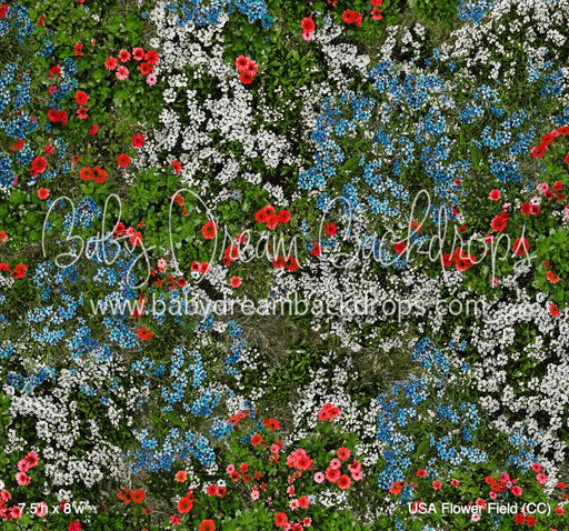 USA Flower Field (CC)