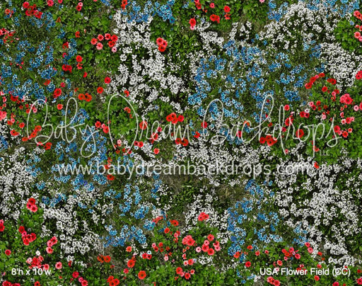 USA Flower Field (CC)