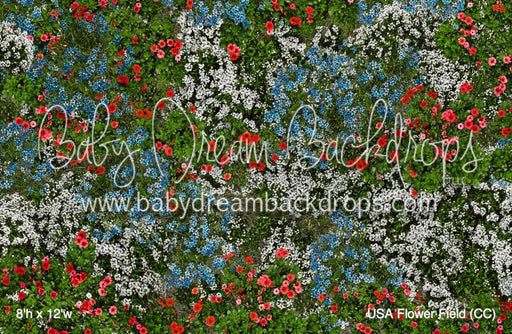USA Flower Field (CC)