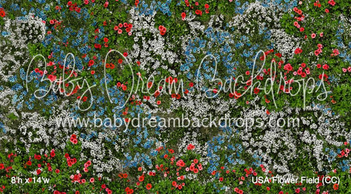 USA Flower Field (CC)