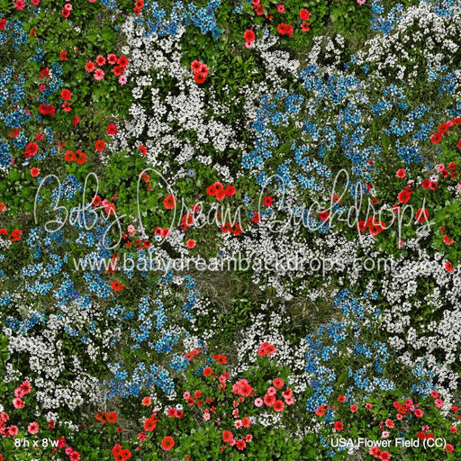 USA Flower Field (CC)