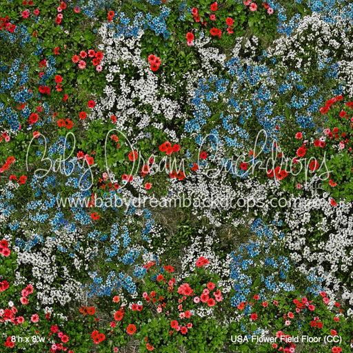 USA Flower Field Floor (CC)