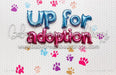 Up For Adoption (AZ)