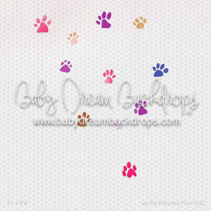 Up For Adoption Floor (AZ)