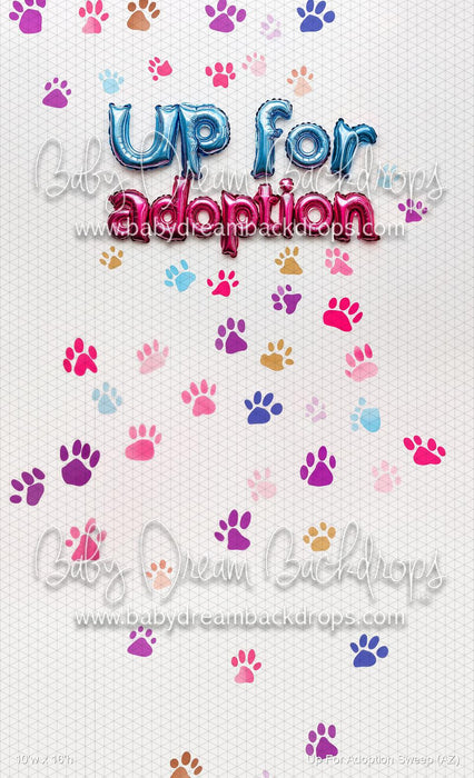 Up For Adoption Sweep (AZ)