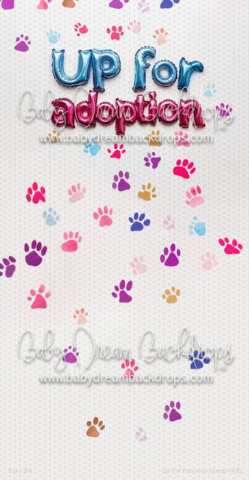 Up For Adoption Sweep (AZ)