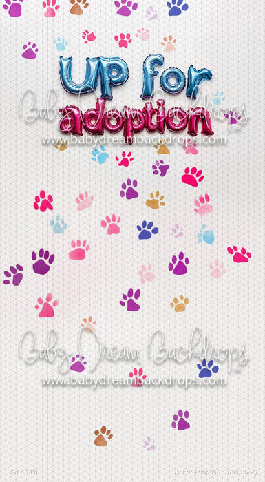 Up For Adoption Sweep (AZ)