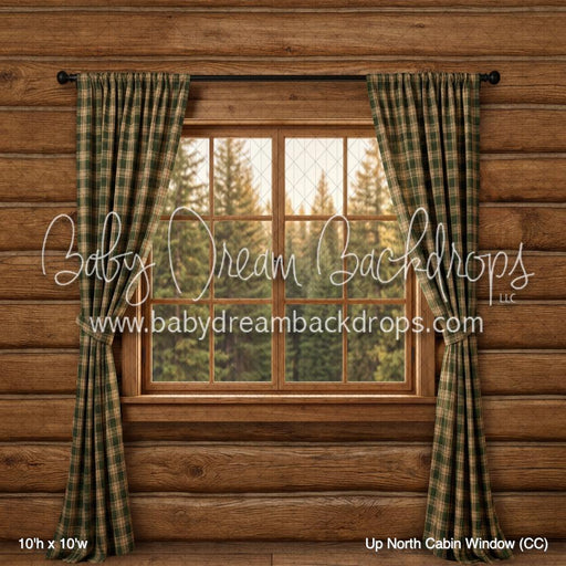 Up North Cabin Window (CC)