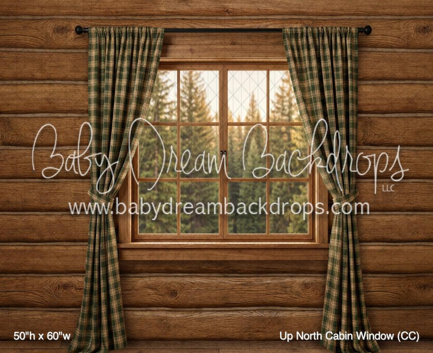 Up North Cabin Window (CC)