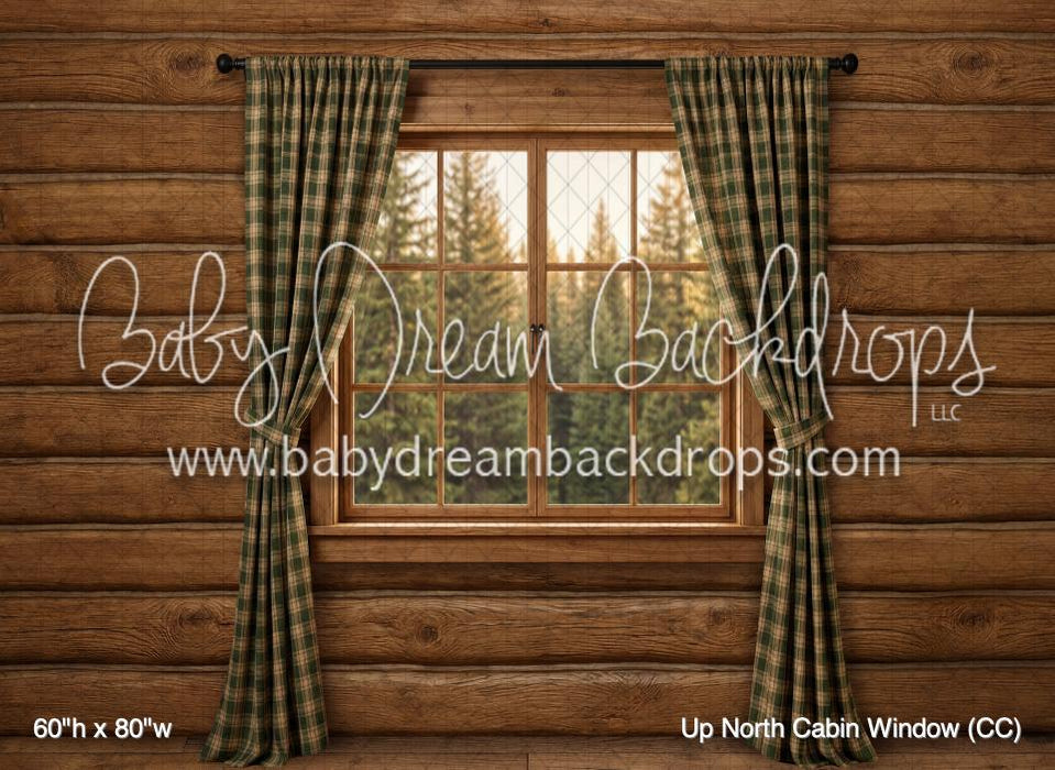 Up North Cabin Window (CC)