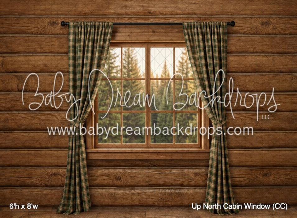 Up North Cabin Window (CC)