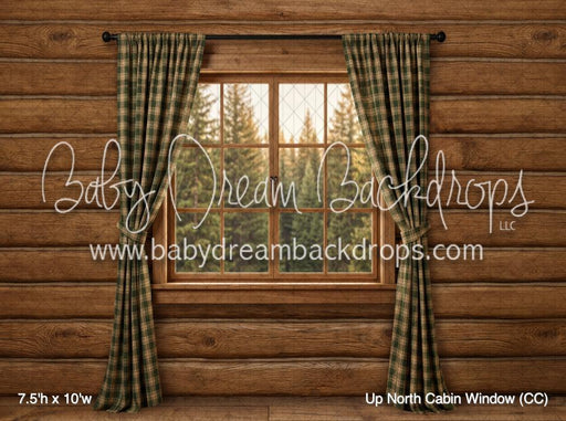 Up North Cabin Window (CC)
