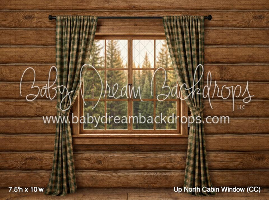 Up North Cabin Window (CC)