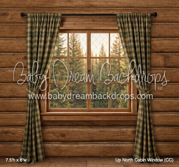 Up North Cabin Window (CC)