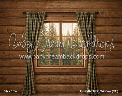 Up North Cabin Window (CC)