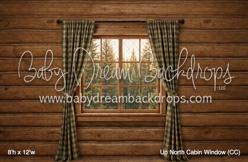 Up North Cabin Window (CC)