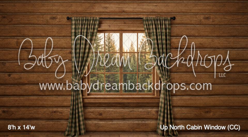 Up North Cabin Window (CC)