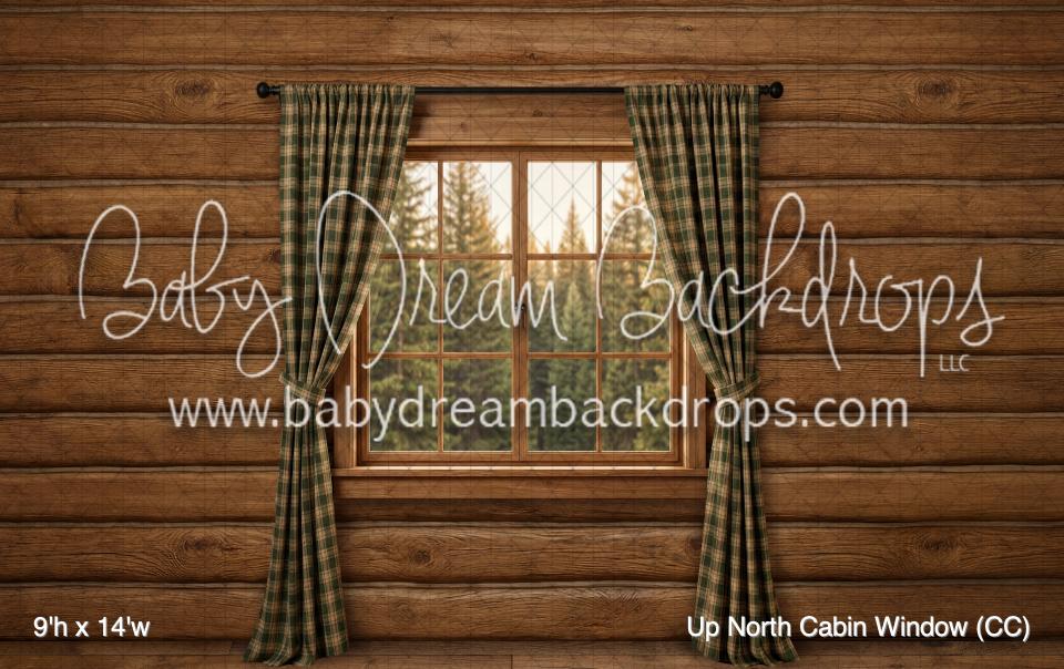 Up North Cabin Window (CC)