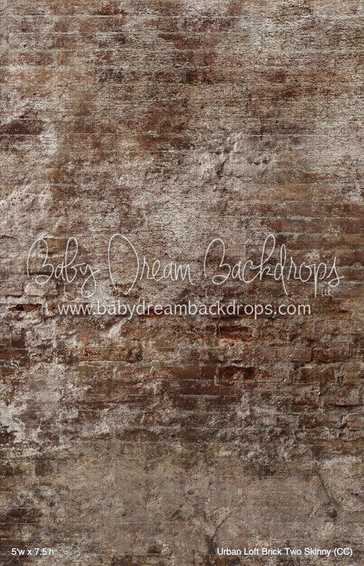 Urban Loft Brick Two Skinny (CC)