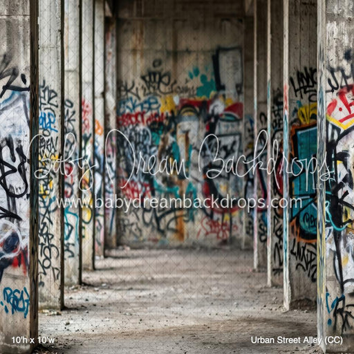 Urban Street Alley (CC)
