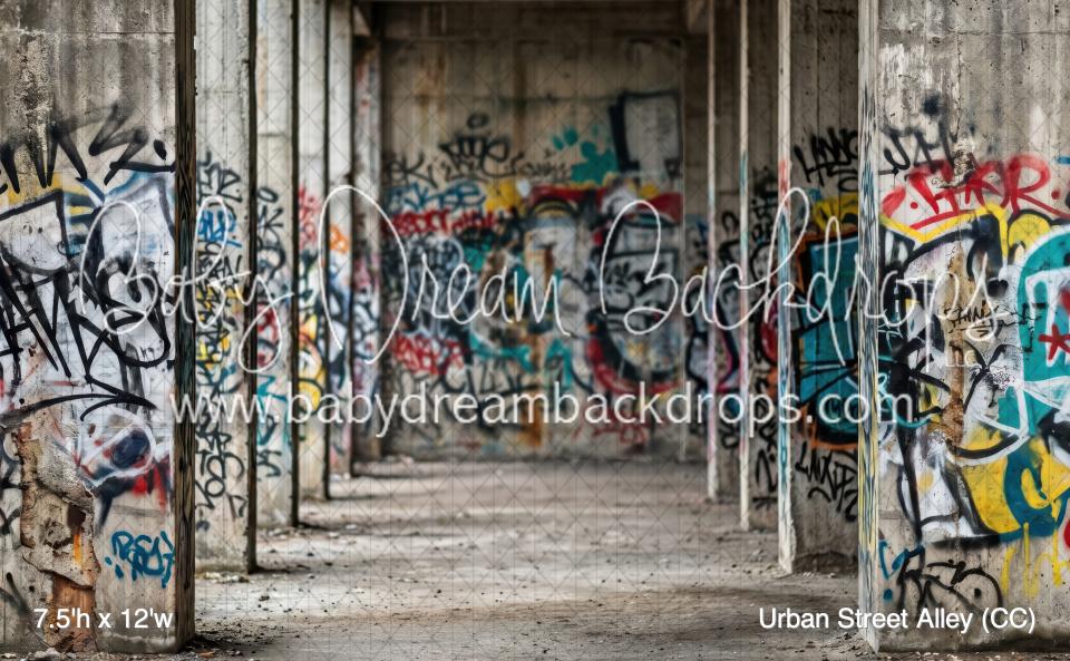 Urban Street Alley (CC)