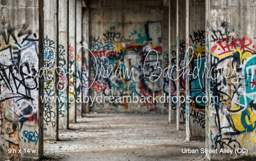 Urban Street Alley (CC)